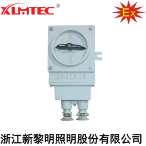 BHZ51系列防爆转换开关(IIB、IIC、Ex tD)