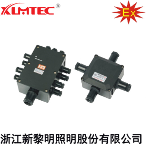 BJX8030系列防爆防腐接线箱