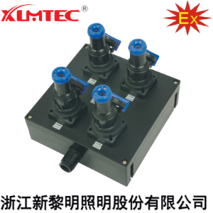 BXS8030系列防爆防腐电源插座箱(IIC、Ex tD)